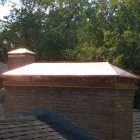 Business 1 image PROFESSIONAL CHIMNEY CLEANERS Chimney Contractors in Houston TX