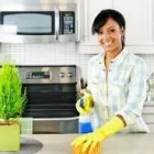 Business 1 image PROFESSIONAL HOME CLEANING INC Weekly Cleaning in Edina MN