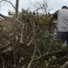 Business 2 image PUG'S JUNK REMOVAL Tree Trimming Service in San Diego CA