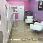 Business 1 image PUPPIES TO GO 2 in Miami FL