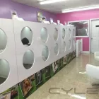 Business 2 image PUPPIES TO GO 2 in Miami FL