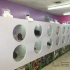 Business 4 image PUPPIES TO GO 2 in Miami FL