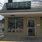Business 5 image PUPPIES TO GO 2 in Miami FL