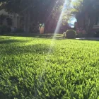 Business 5 image PURCHASE GREEN ARTIFICIAL GRASS - SAN JOSE Synthetic Turf in San Jose CA