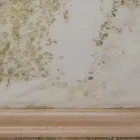 Business 4 image PURE MAINTENANCE GOLDEN STATE, LLC Water Damage Restoration in Antelope CA