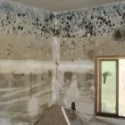 Business 5 image PURE MAINTENANCE GOLDEN STATE, LLC Water Damage Restoration in Antelope CA