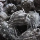 Business 7 image PURE MAINTENANCE GOLDEN STATE, LLC Water Damage Restoration in Antelope CA