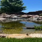 Business 1 image PURELY PONDS AND WATERFALLS Landscape Contractors in Colorado Springs CO