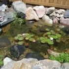 Business 2 image PURELY PONDS AND WATERFALLS Landscape Contractors in Colorado Springs CO