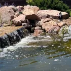 Business 4 image PURELY PONDS AND WATERFALLS Landscape Contractors in Colorado Springs CO