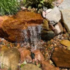 Business 6 image PURELY PONDS AND WATERFALLS Landscape Contractors in Colorado Springs CO