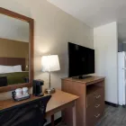 Business 5 image QUALITY INN SAINT PETERSBURG NORTH-TAMPA BAY in Saint Petersburg FL