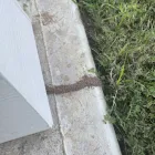 Business 4 image QUALITY PEST CONTROL HOUSTON Pest Control Software in Houston TX