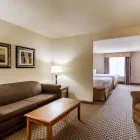 Business 11 image QUALITY SUITES Hotels in Huntsville TX