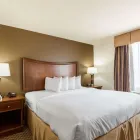Business 18 image QUALITY SUITES Hotels in Huntsville TX