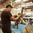 Business 4 image QUEEN ANNE UPHOLSTERY AND REFINISHING in Bellevue WA