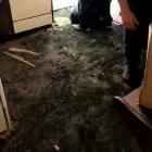 Business 3 image QUEENS WATER DAMAGE RESTORATION Water Damage Restoration in Rego Park NY
