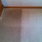 Business 1 image QUIKDRI CARPET CLEANING LLC Carpet & Upholstery Cleaning in Georgetown TX