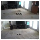 Business 9 image QUIKDRI CARPET CLEANING LLC Carpet & Upholstery Cleaning in Georgetown TX