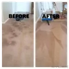 Business 10 image QUIKDRI CARPET CLEANING LLC Carpet & Upholstery Cleaning in Georgetown TX