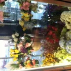 Business 4 image QUILL'S BUNCHES Gift Shops in Wilmington DE