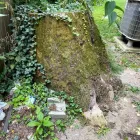 Business 2 image R&C TREE AND LANDSCAPING Tree Service in Indianapolis IN