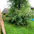 Business 5 image R&C TREE AND LANDSCAPING Tree Service in Indianapolis IN