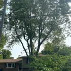 Business 7 image R&C TREE AND LANDSCAPING Tree Service in Indianapolis IN