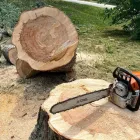 Business 9 image R&C TREE AND LANDSCAPING Tree Service in Indianapolis IN