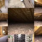 Business 39 image RALPH'S HOME INSPECTION SERVICE residential inspections in Chicago IL