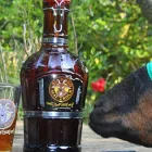 Business 4 image RAM RESTAURANT & BREWERY Cocktail Lounges in Puyallup WA