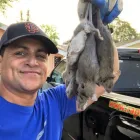 Business 2 image RAPID RODENT REMOVAL Pest Control Service in San Jose CA