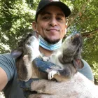 Business 4 image RAPID RODENT REMOVAL Pest Control Service in San Jose CA