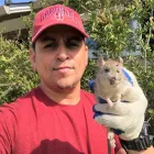 Business 6 image RAPID RODENT REMOVAL Pest Control Service in San Jose CA