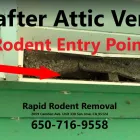 Business 7 image RAPID RODENT REMOVAL Pest Control Service in San Jose CA