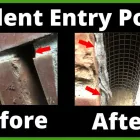 Business 10 image RAPID RODENT REMOVAL Pest Control Service in San Jose CA