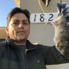 Business 12 image RAPID RODENT REMOVAL Pest Control Service in San Jose CA