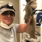 Business 14 image RAPID RODENT REMOVAL Pest Control Service in San Jose CA