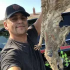 Business 17 image RAPID RODENT REMOVAL Pest Control Service in San Jose CA