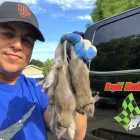 Business 19 image RAPID RODENT REMOVAL Pest Control Service in San Jose CA