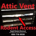 Business 20 image RAPID RODENT REMOVAL Pest Control Service in San Jose CA