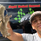 Business 21 image RAPID RODENT REMOVAL Pest Control Service in San Jose CA