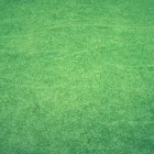 Business 2 image RAZOR SHARP LAWN & LANDSCAPING Landscape Architects & Designers in Oklahoma City OK