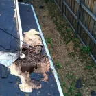 Business 2 image READY ROOFING & RENOVATION in Dallas TX