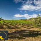 Business 2 image RED HAWK REALTY CALIFORNIA REAL ESTATE in Santa Ysabel CA