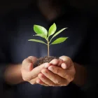 Business 2 image REDBUD SOIL COMPANY Garden Centers in Oklahoma City OK