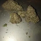 Business 2 image REEF DISPENSARIES Medical Marijuana Dispensary in North Las Vegas NV