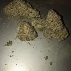 Business 4 image REEF DISPENSARIES Medical Marijuana Dispensary in North Las Vegas NV