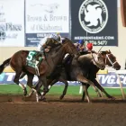 Business 4 image REMINGTON PARK Racetrack in Oklahoma City OK