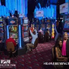 Business 20 image REMINGTON PARK Racetrack in Oklahoma City OK